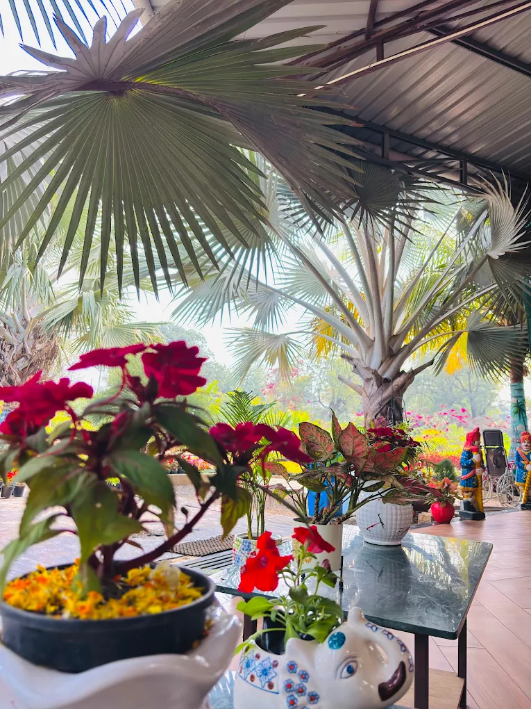 Professional garden setup service in Khargone Madhya Pradesh